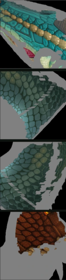 dragon neck scales: reference albedo