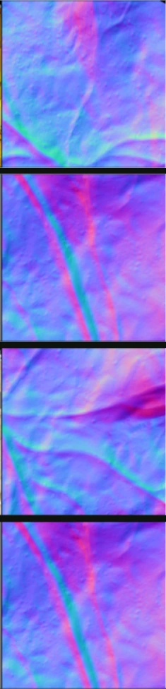 leaf veins: reference geometry