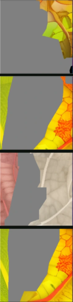 leaf veins: target albedo