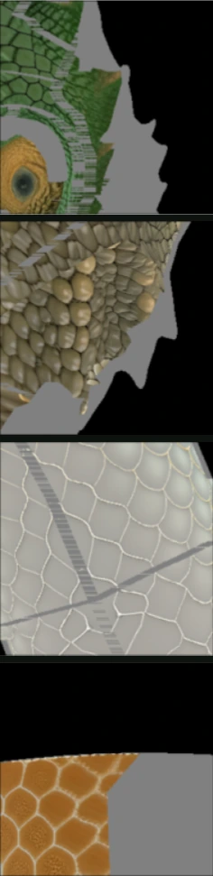 lizard scales and eye: reference albedo