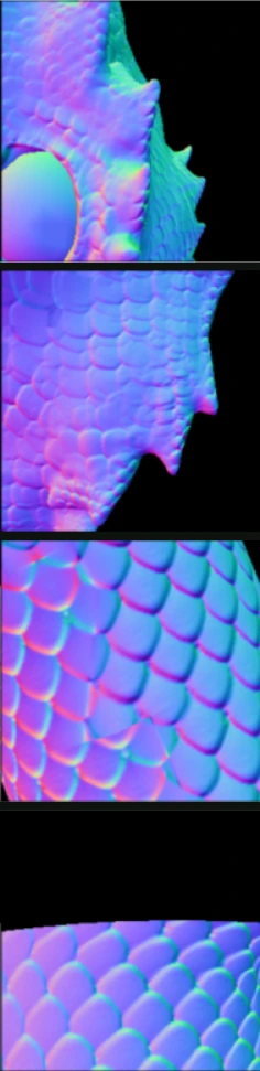 lizard scales and eye: reference geometry