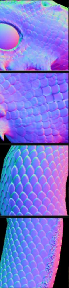 lizard scales and eye: target geometry